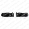 DELPHI TBR4034 Bellow Set, steering